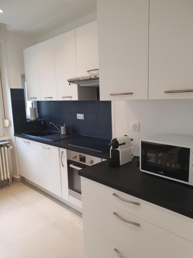 Appartement De Prestige Au Centre Climatise Avec Jardin Prive Кольмар Экстерьер фото