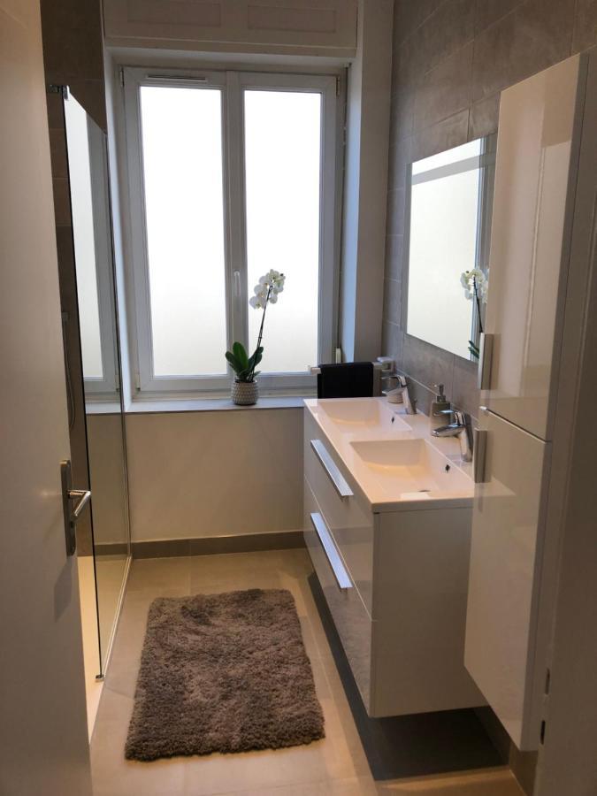 Appartement De Prestige Au Centre Climatise Avec Jardin Prive Кольмар Экстерьер фото