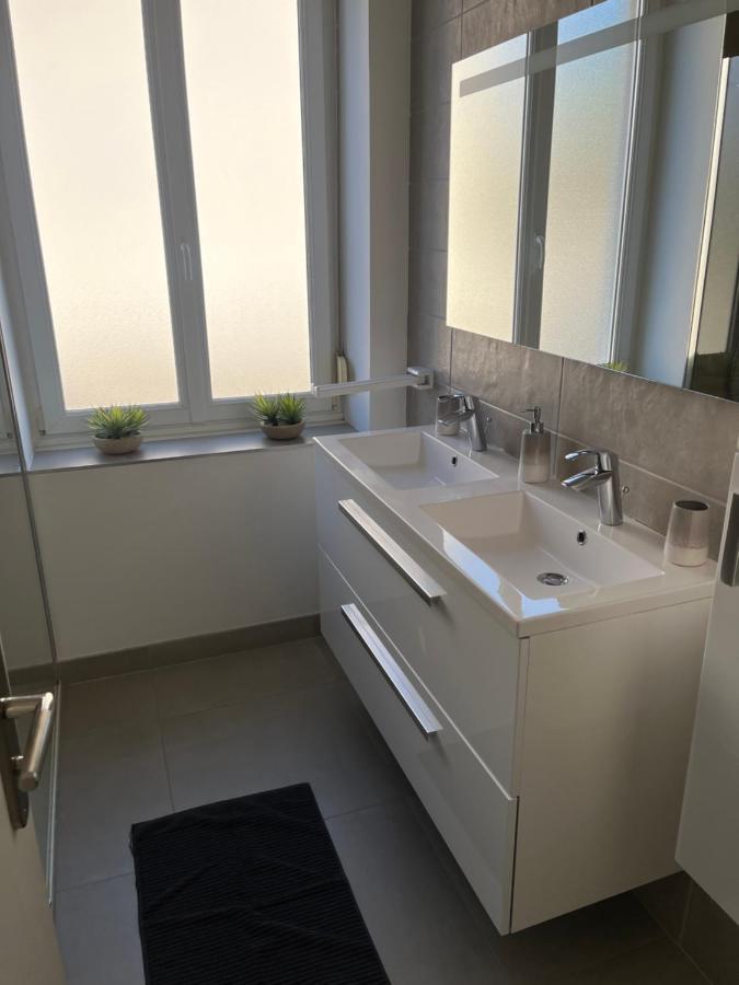 Appartement De Prestige Au Centre Climatise Avec Jardin Prive Кольмар Экстерьер фото