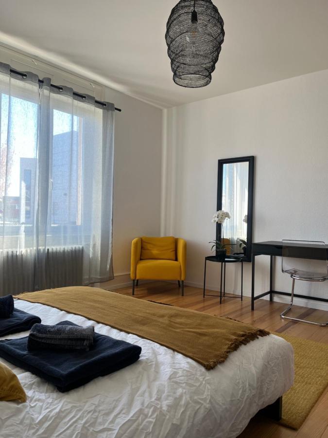 Appartement De Prestige Au Centre Climatise Avec Jardin Prive Кольмар Экстерьер фото