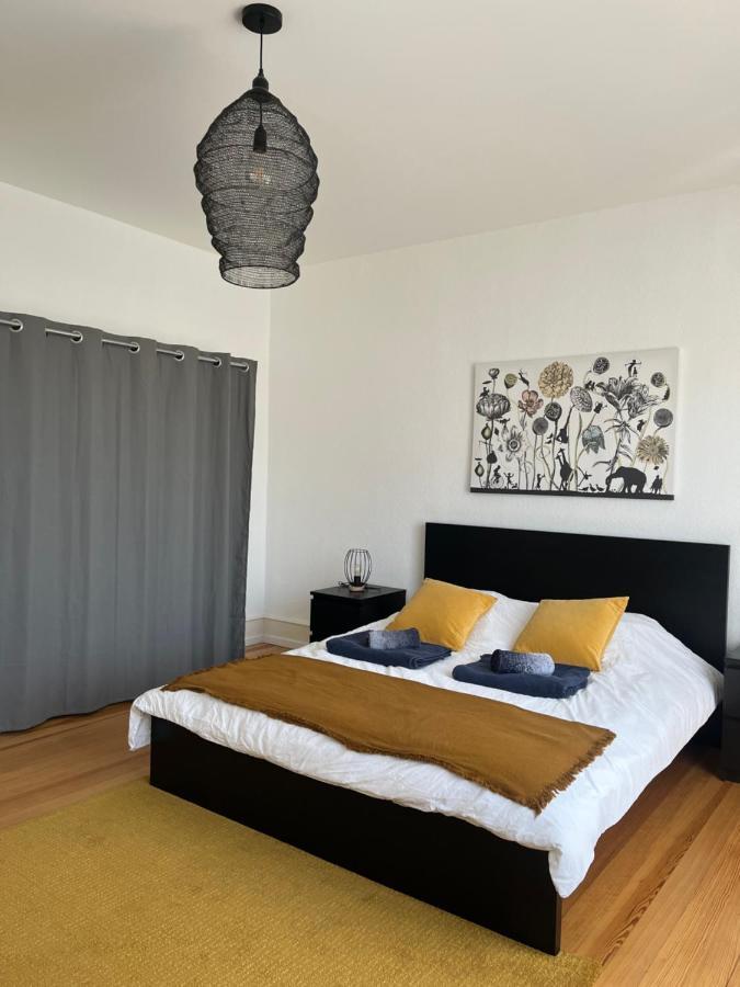 Appartement De Prestige Au Centre Climatise Avec Jardin Prive Кольмар Экстерьер фото