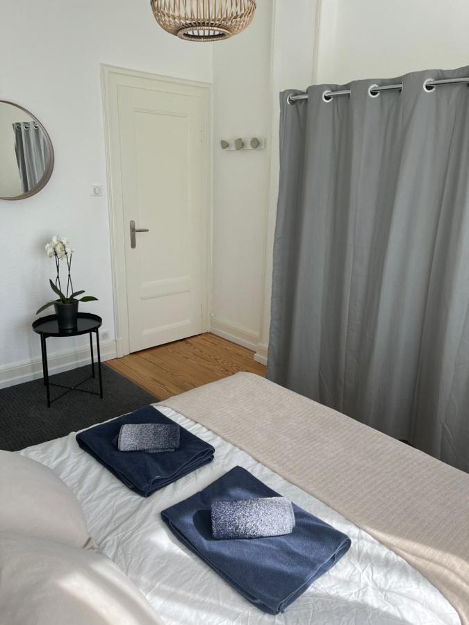 Appartement De Prestige Au Centre Climatise Avec Jardin Prive Кольмар Экстерьер фото