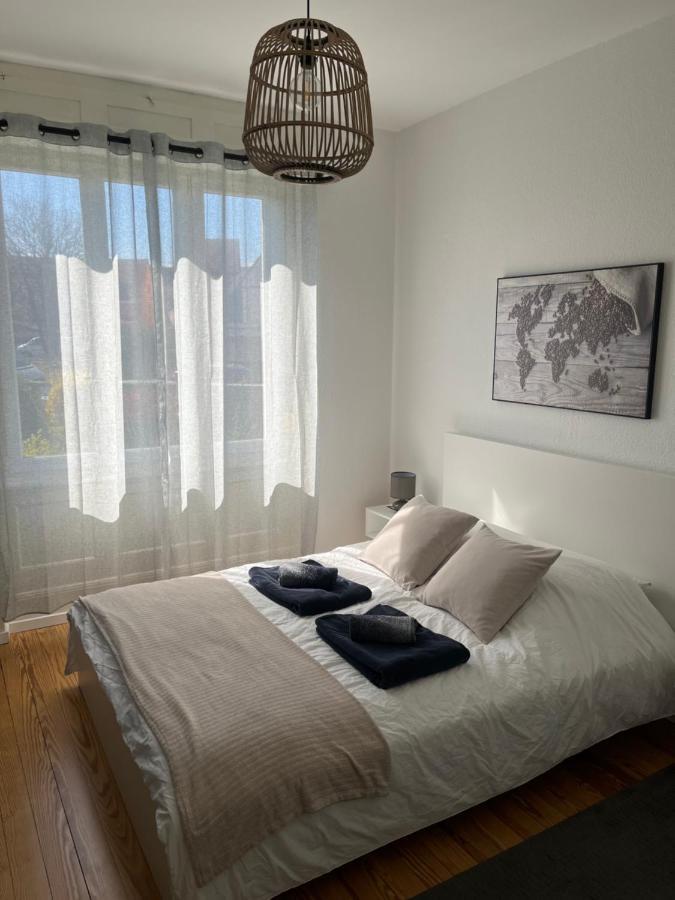 Appartement De Prestige Au Centre Climatise Avec Jardin Prive Кольмар Экстерьер фото
