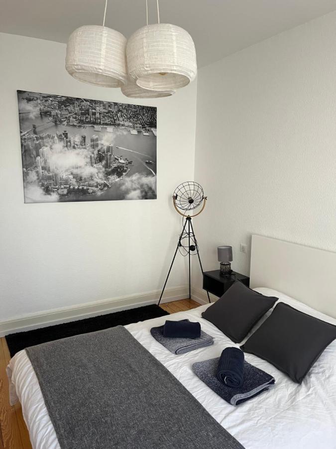 Appartement De Prestige Au Centre Climatise Avec Jardin Prive Кольмар Экстерьер фото